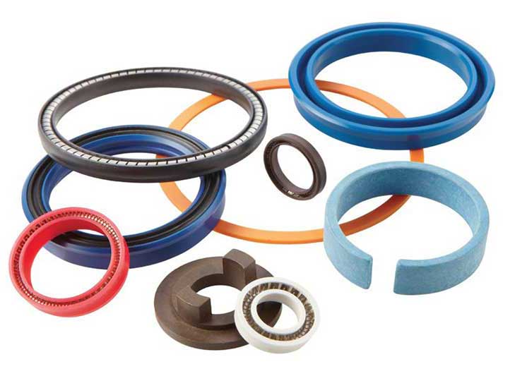 Hydraulic Seals and Mechanical Seals